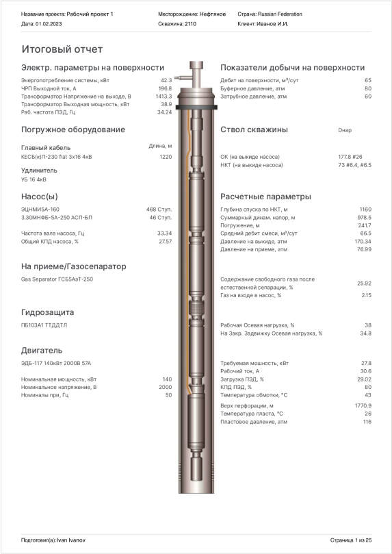 Report sample