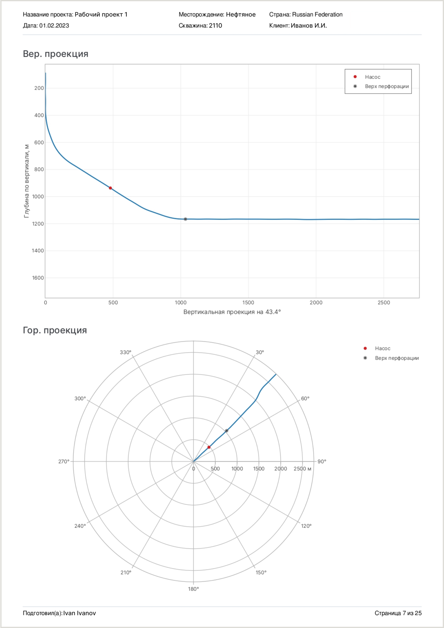 Report sample